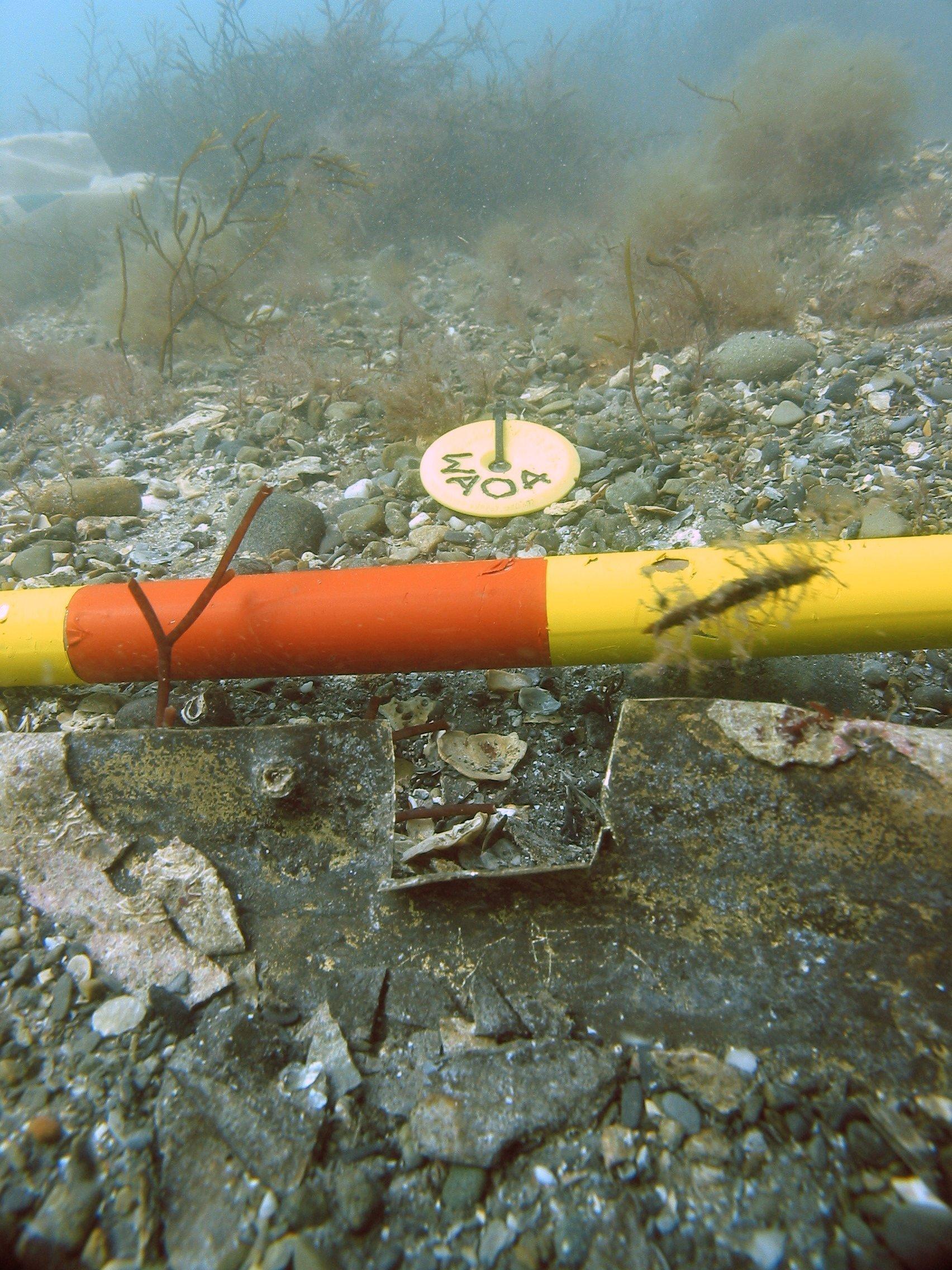 Sheathing underwater showing where samples were taken (photo. Wessex Archaeology) 